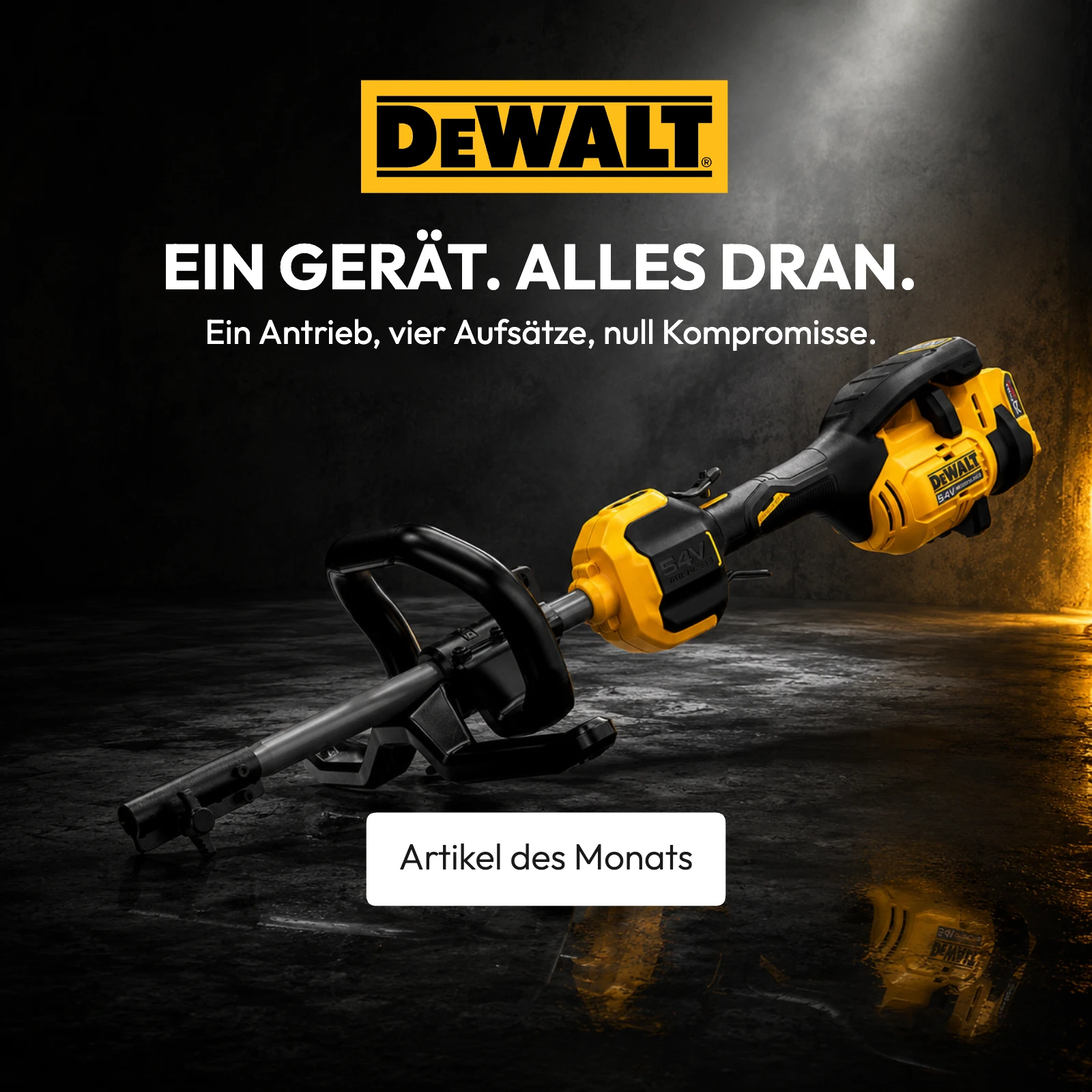 DEWALT Artikel des Monats