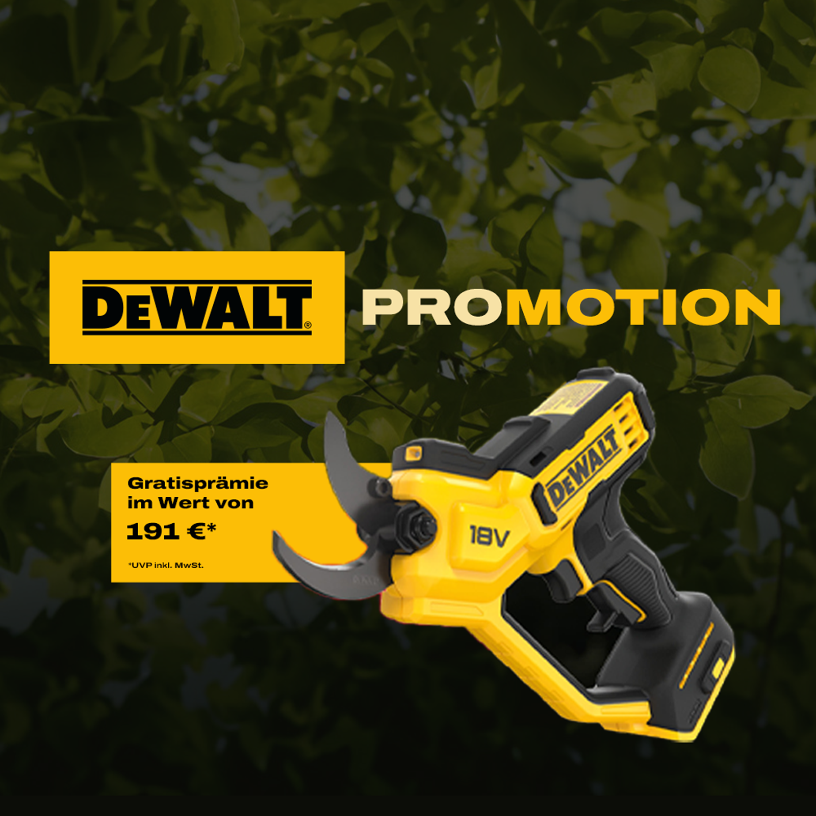 Dewalt Outdoor Promotion Scharfer Bonus