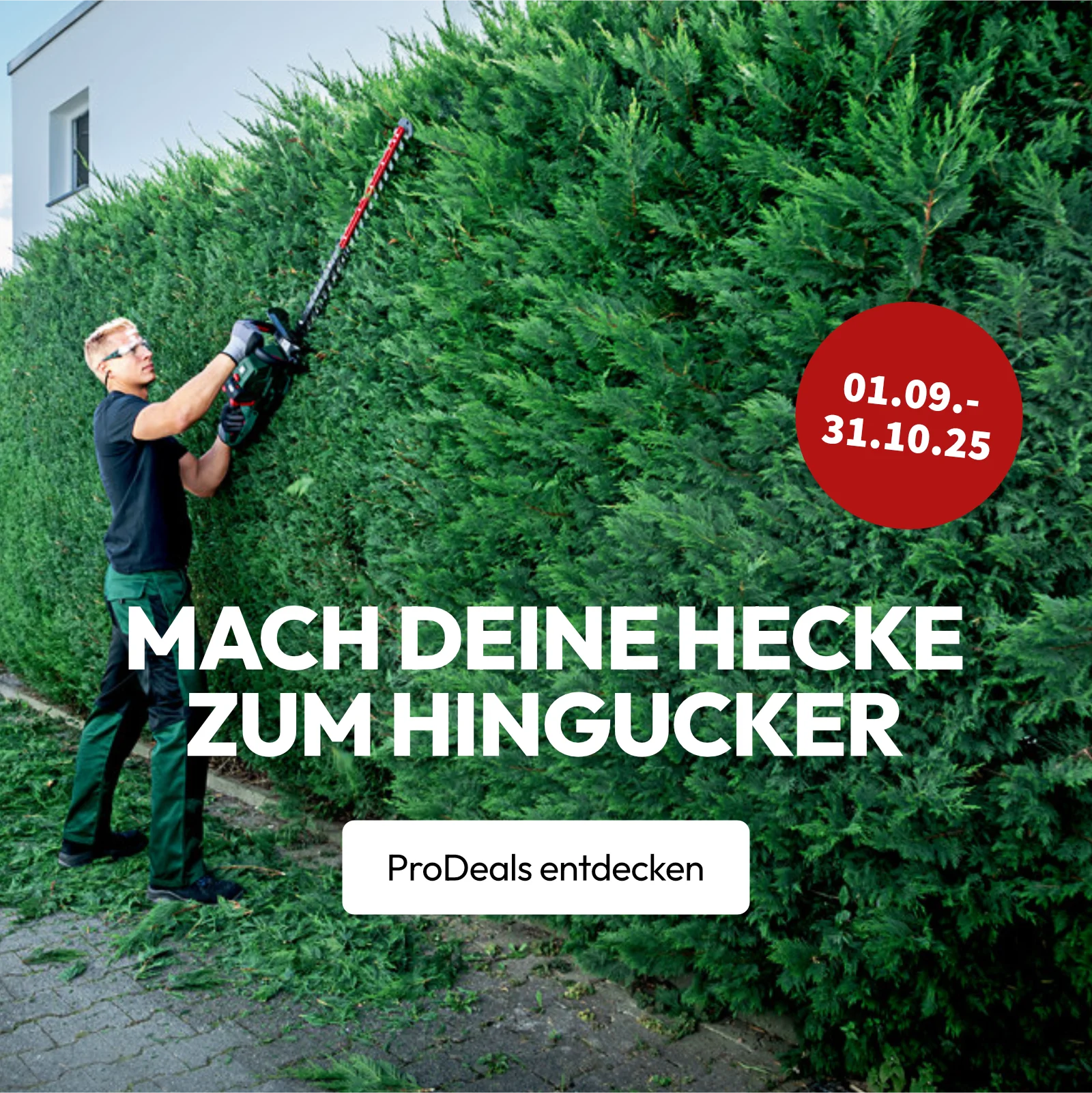 Heckendeals Aktion bei Gotools