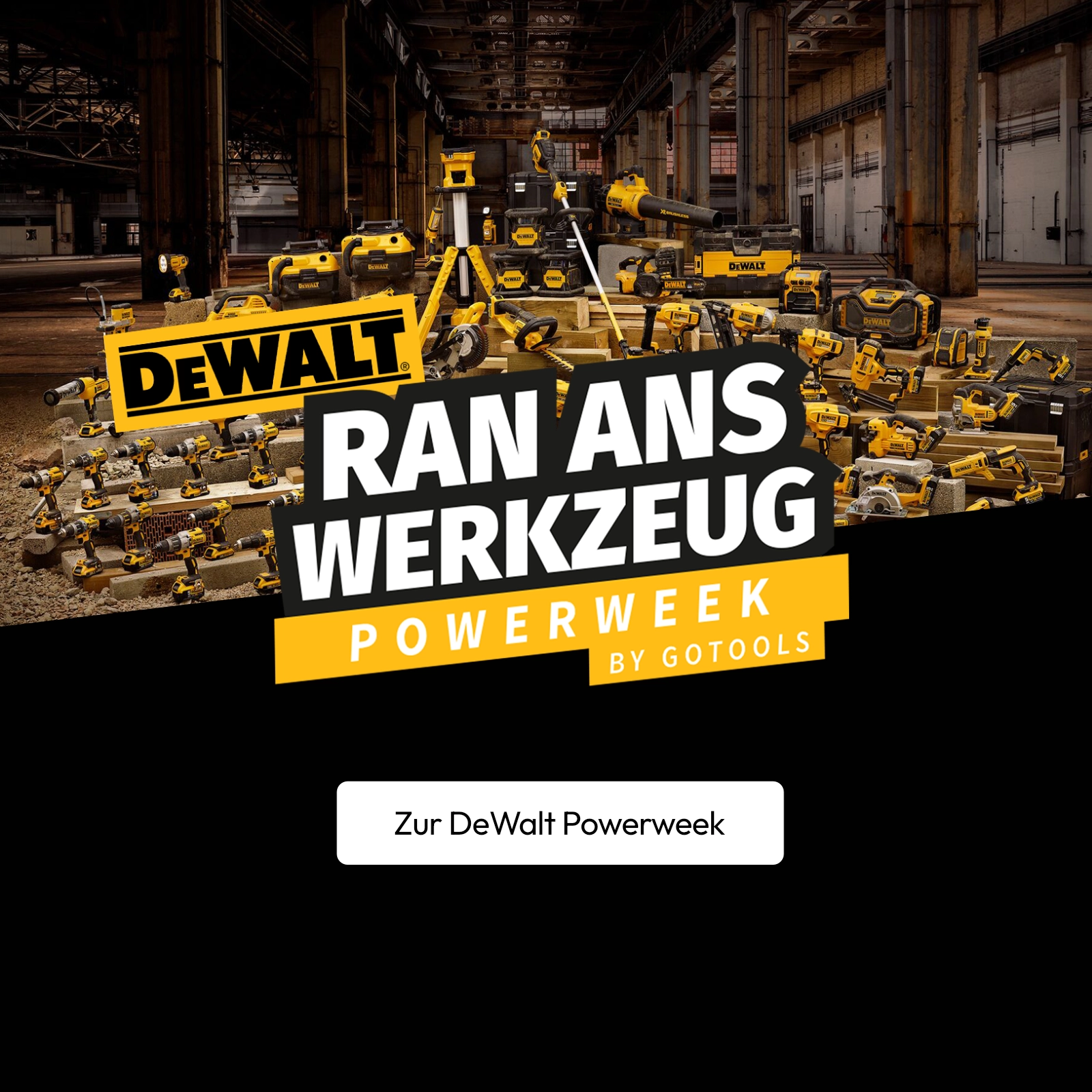 Zur Dewalt Powerweek