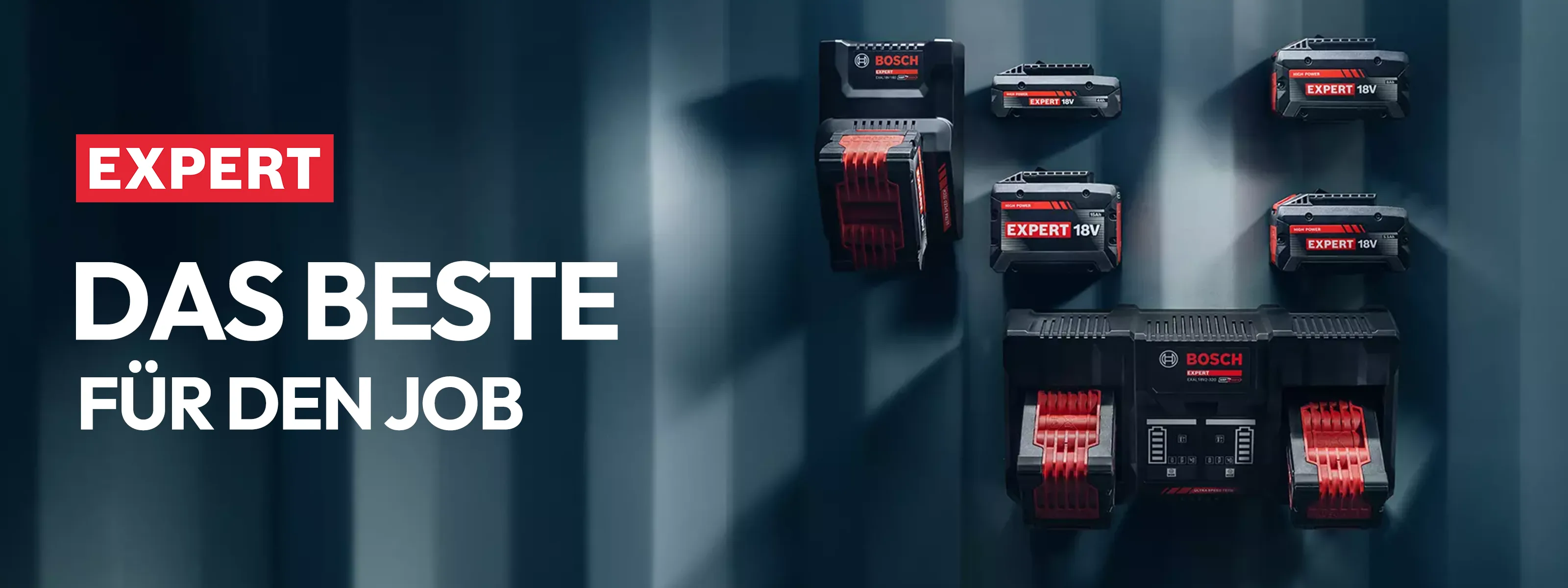 Bosch Expert Batterien