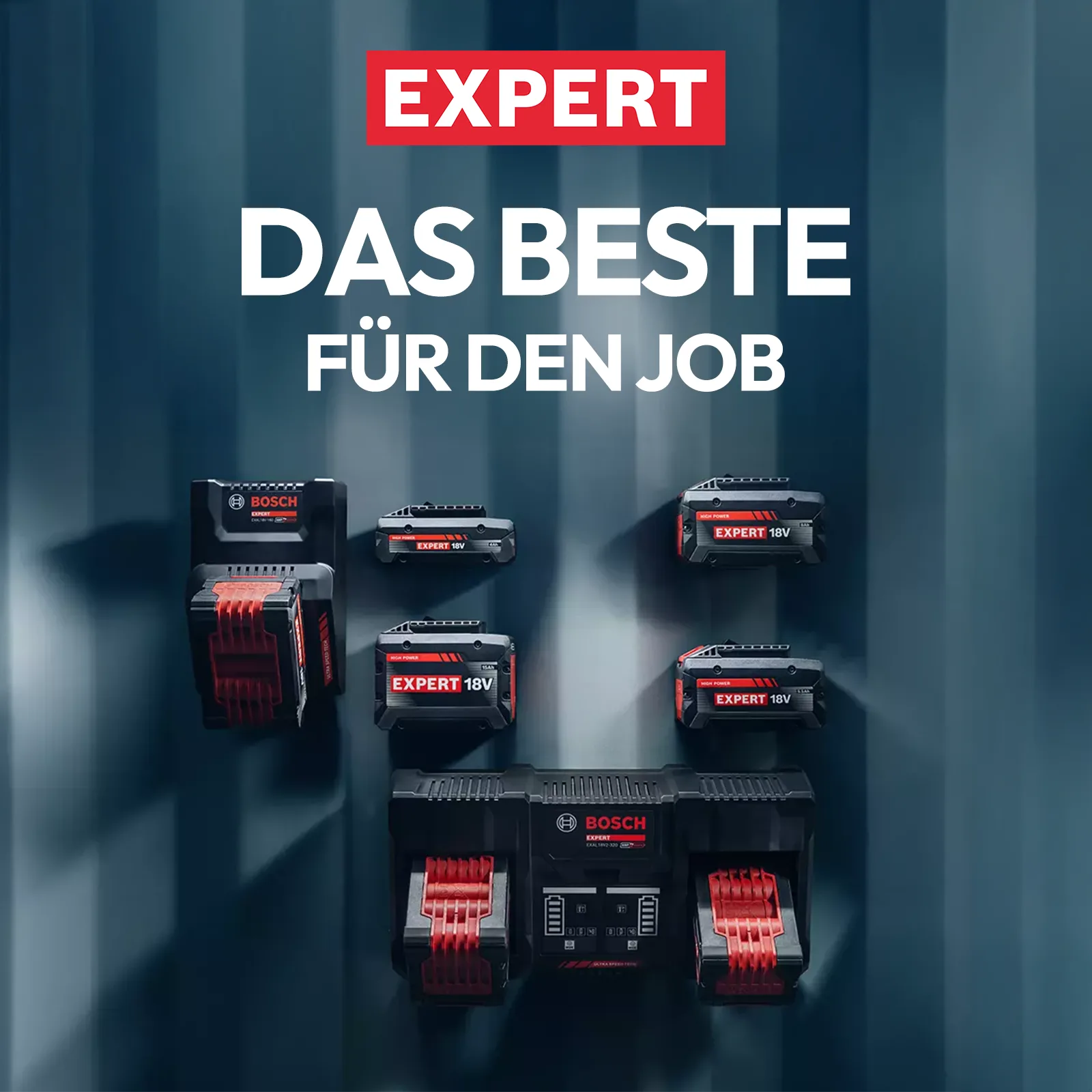 Bosch Expert Batterien