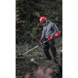 Vorschaubild 6