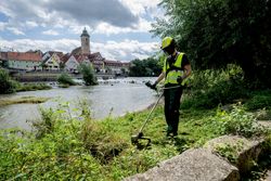 Vorschaubild 4