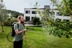Vorschaubild 2