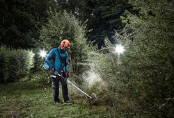 Vorschaubild 13