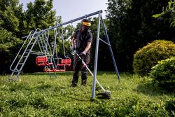 Vorschaubild 7
