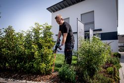 Vorschaubild 5
