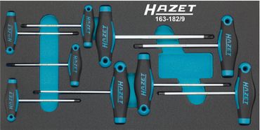 Hazet Werkzeugmodul 163-182/9 9-teilig