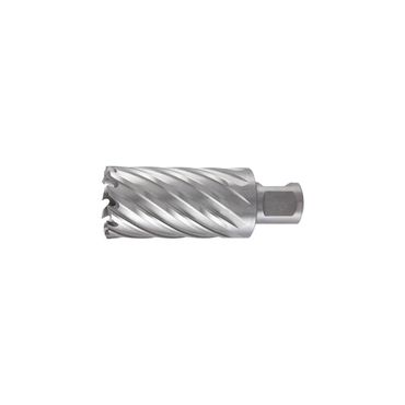 Ruko Kernbohrer  Nenn-Ø 19 mm HSS Schnitttiefe 55 mm Weldon