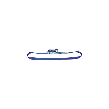 Dolezych Zurrgurt DIN EN 12195-2 Länge 6 m Breite 25 mm mit Ratsche LC U 1000 daN