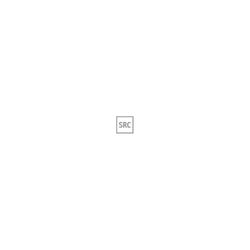 Vorschaubild 24