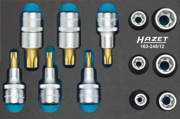 Hazet Werkzeugmodul 163-245/12 12-teilig