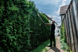 Vorschaubild 4