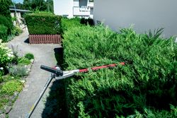 Vorschaubild 12