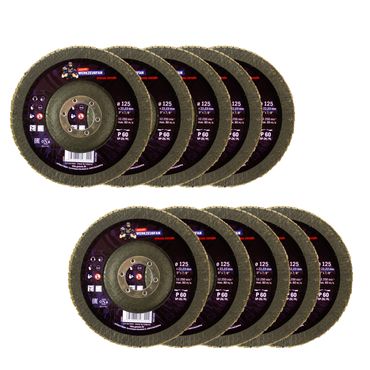 Echter Werkzeugfan Lamellenschleifteller Special Edition 125 mm, P 60, SP-ZK, 10 Stück