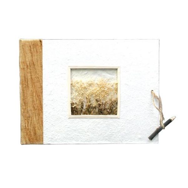 15 SAFE 5471 FOTOHÜLLEN ANSICHTSKARTENHÜLLEN POSTKARTENHÜLLEN 10 x 15 CM A4