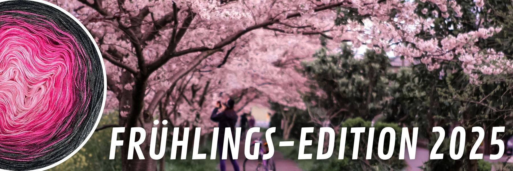Frühlings-Edition 2025