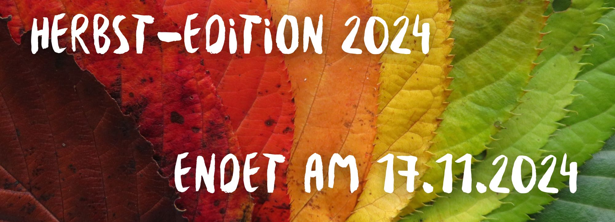 Herbst-Edition 2024