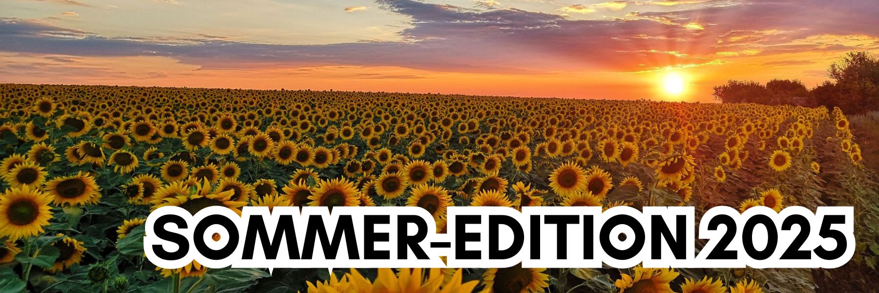 Sommer-Edition 2025