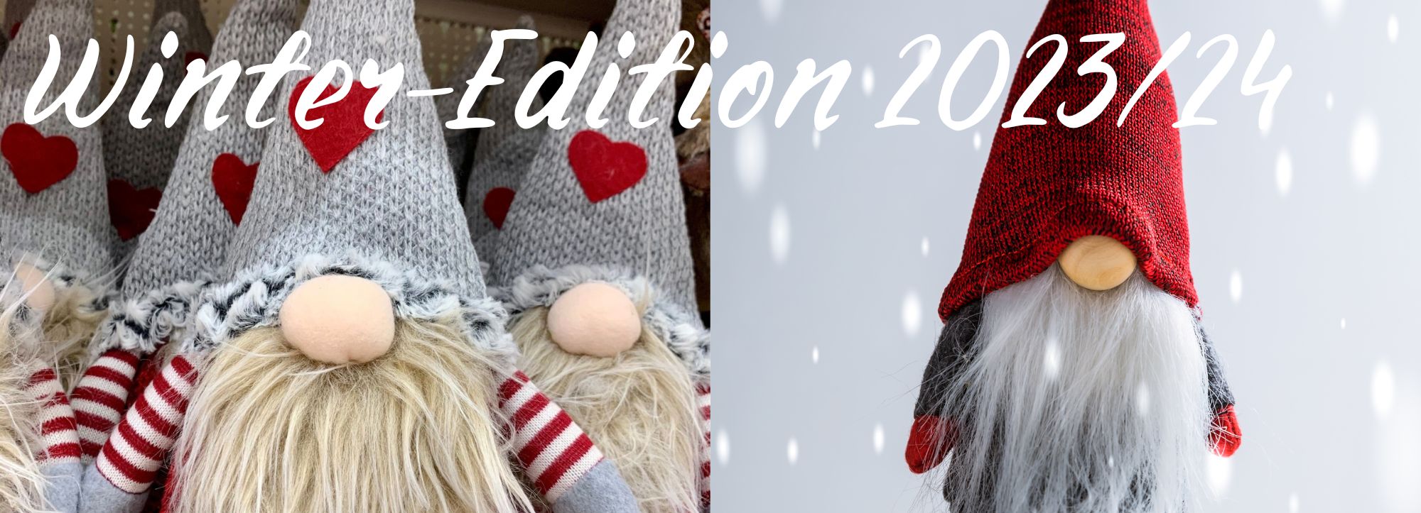 Winter-Edition 2023/24