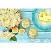 LoLa Farbverlaufsgarn Bilder Bobbel Baumwolle Lemonade