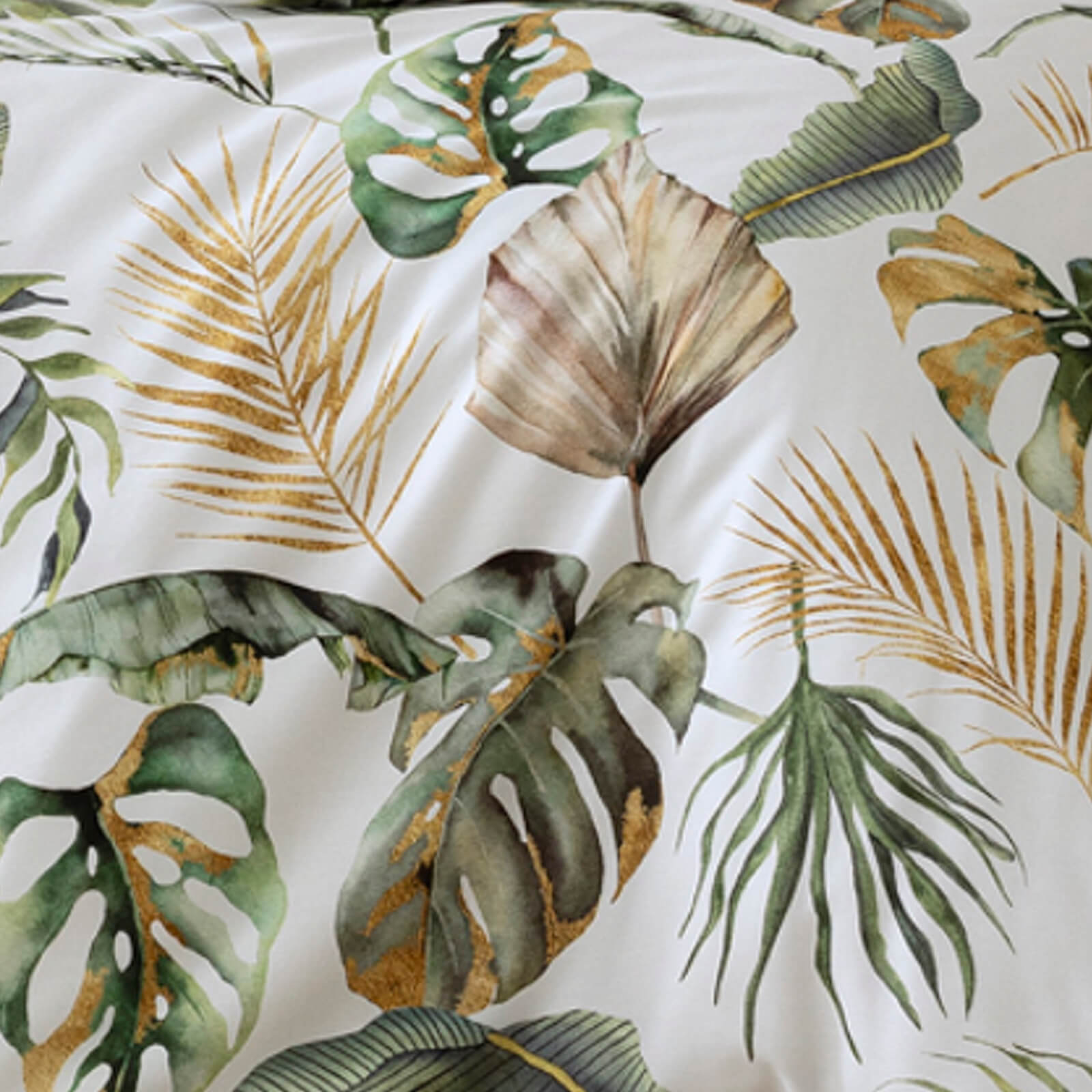 philodendron cream Philodendron Hederaceum ‘Cream Splash’ 3” main image 0
