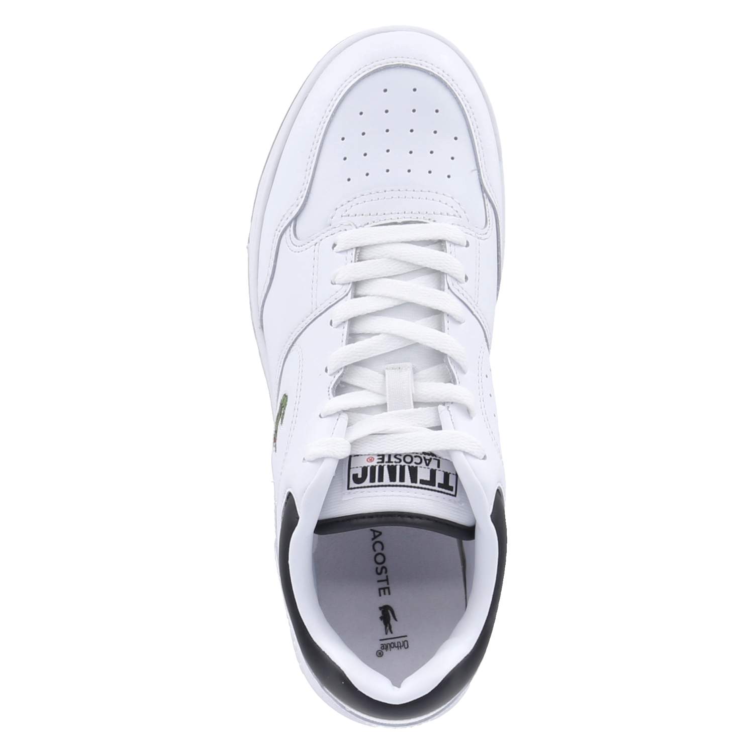 Low Sneaker LINEDRIVE - wht/blk