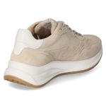 Low Sneaker - beige / white