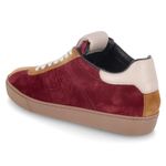 Low Sneaker - cabernet