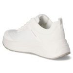 Low Sneaker  - white / white
