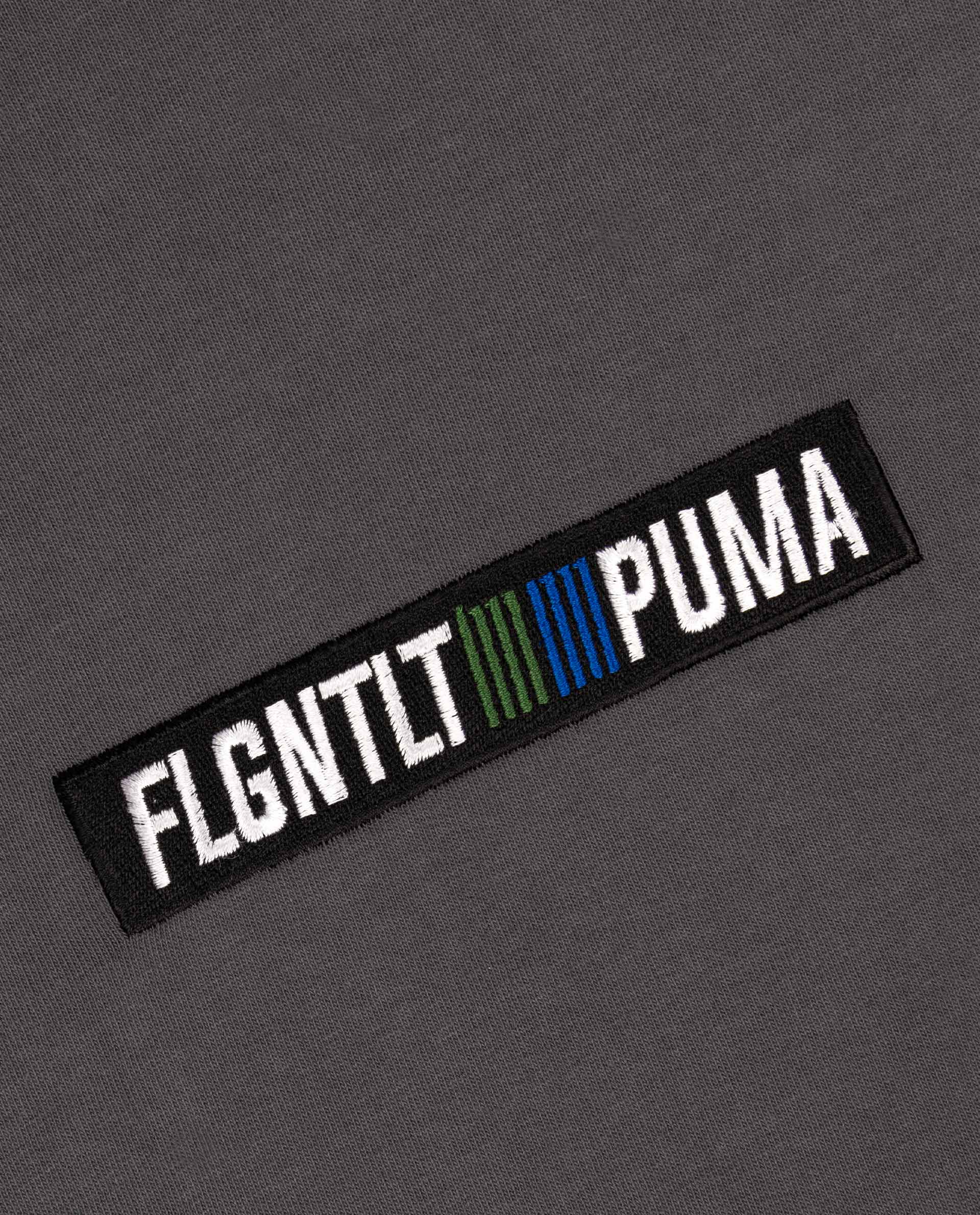 PUMA FLGNTLT ASPHALT TEE FLGNTLT