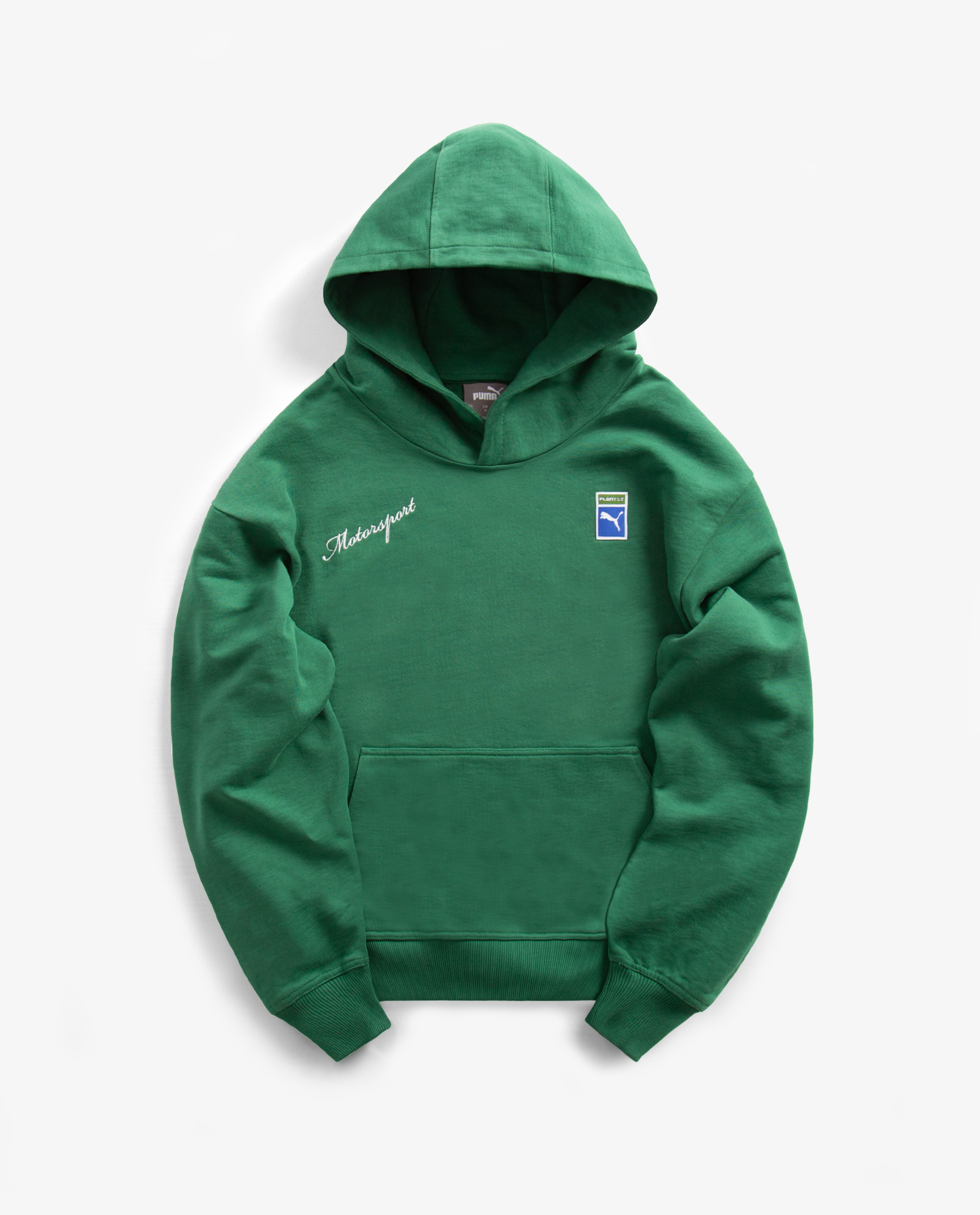 Puma hot sale motorsport hoodie