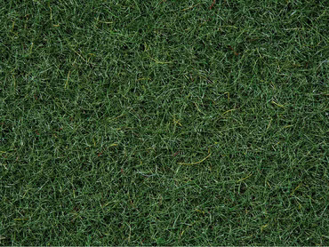 Noch 8320 Streugras Moorboden