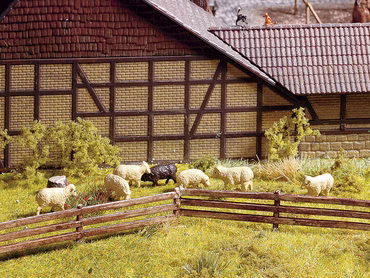 Noch 13040 Weidezaun