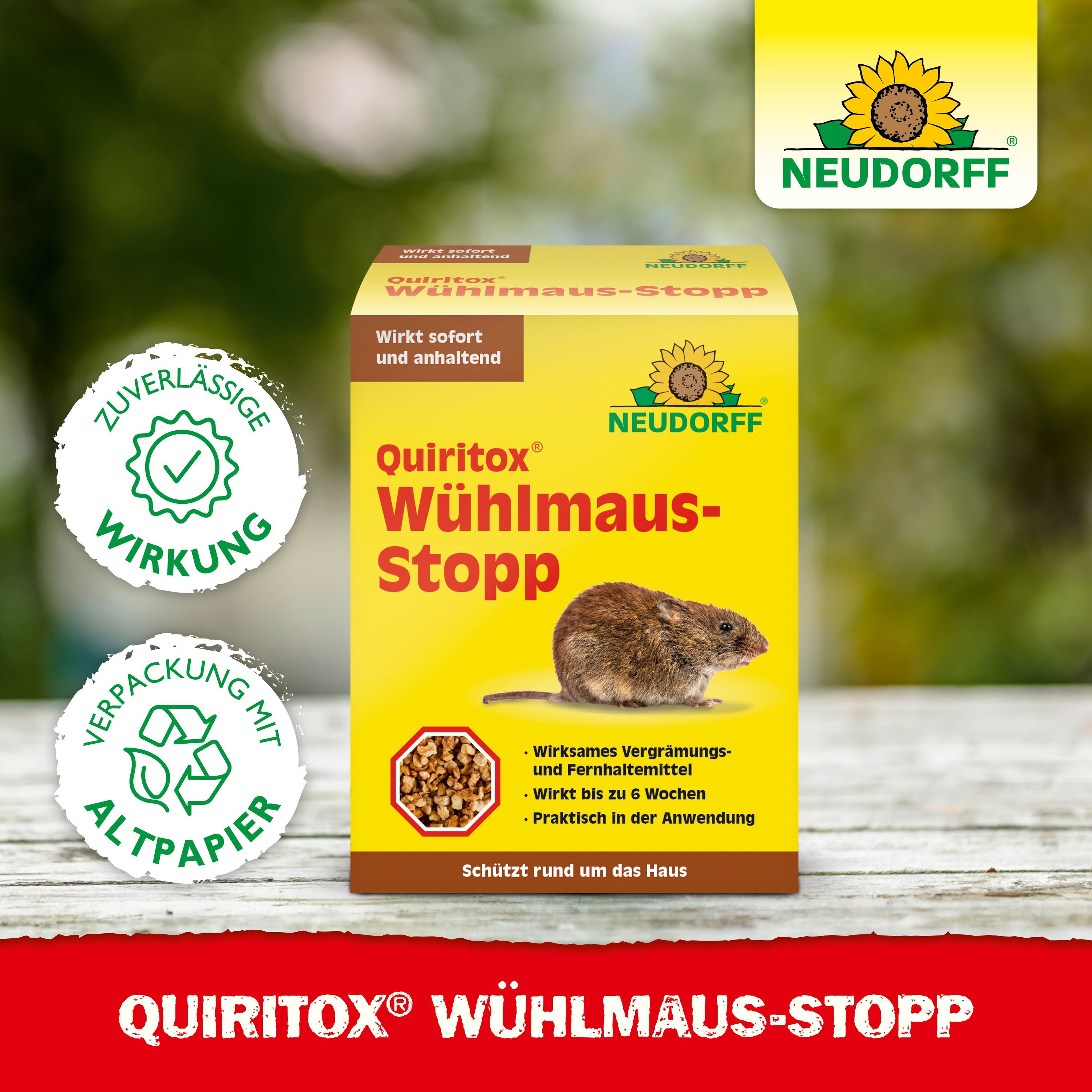 demeter bingenheimer saatgut BIO Saatgut Bienen-Care-Paket Saatgutbox  Biogartenladen