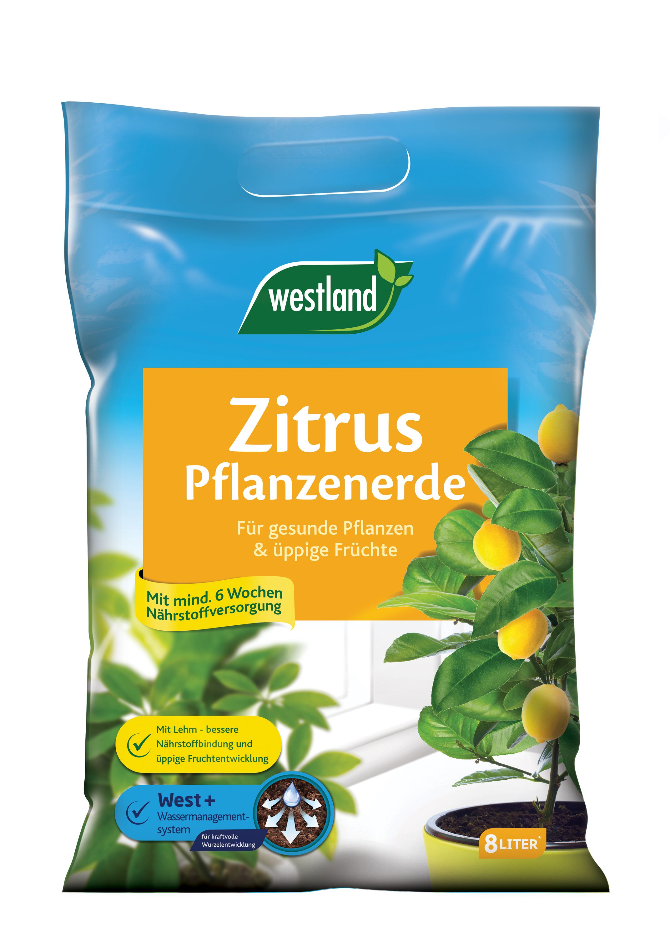 Westland 500ml Zimmerpflanzen Dünger »Die Nr 1 In England Für Den Garten« Pflege