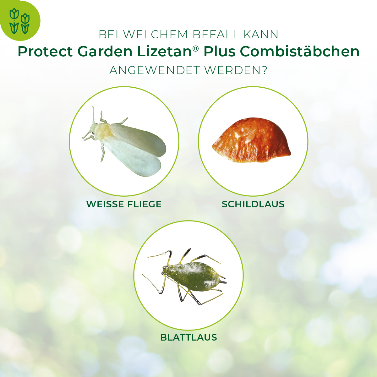 PROTECT GARDEN Lizetan Plus Combistbchen, 10 Stck | Oleandershop