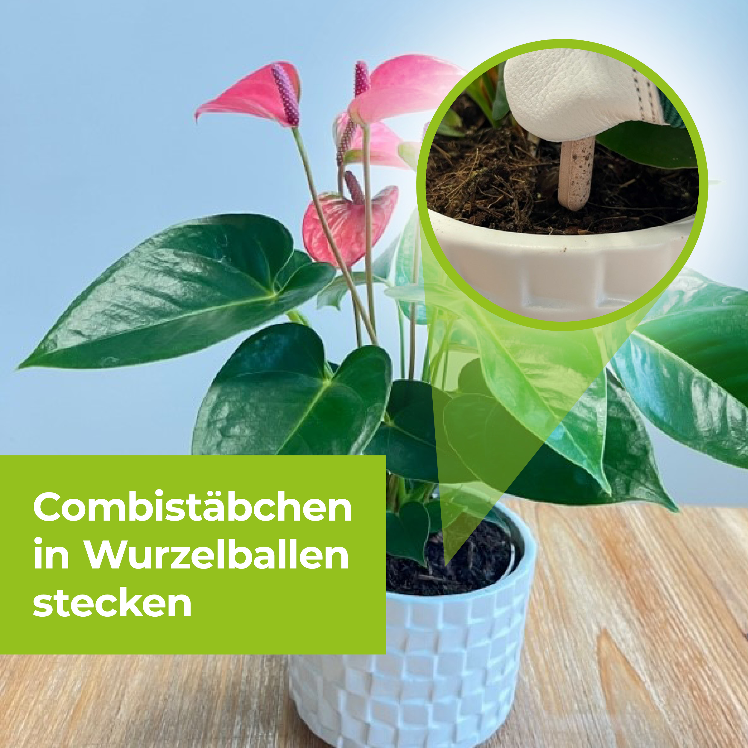 saatgut aufbewahrungsbox diy Saatgut- Aufbewahrungsbox