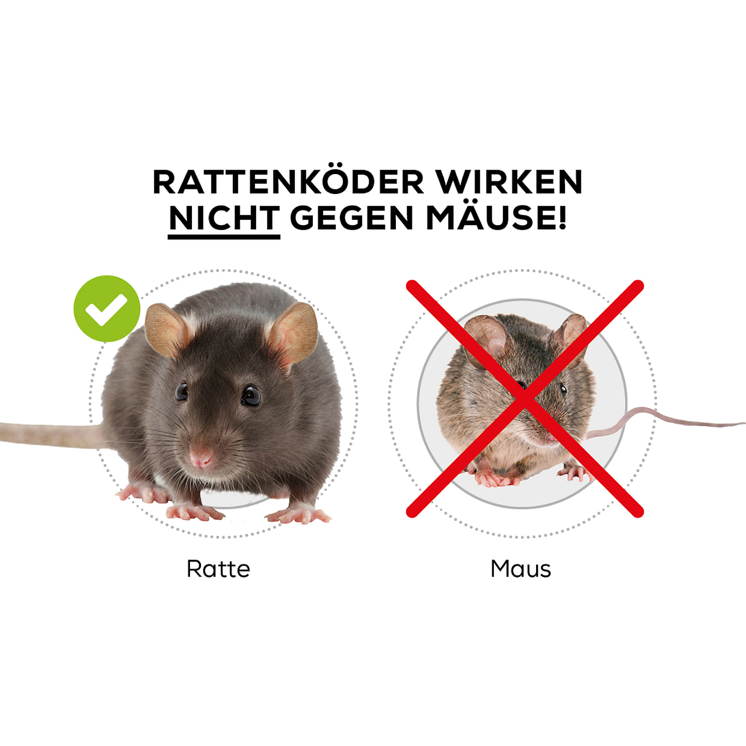PROTECT HOME Ratten Kderbox, 1 Stck | Oleandershop