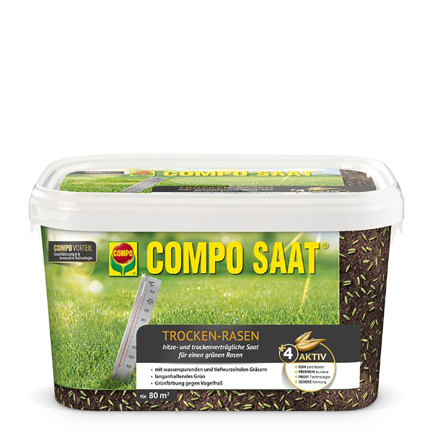 wilde wiese saatgut 6 Seedballs “Wilde Wiese” – Wildbiene