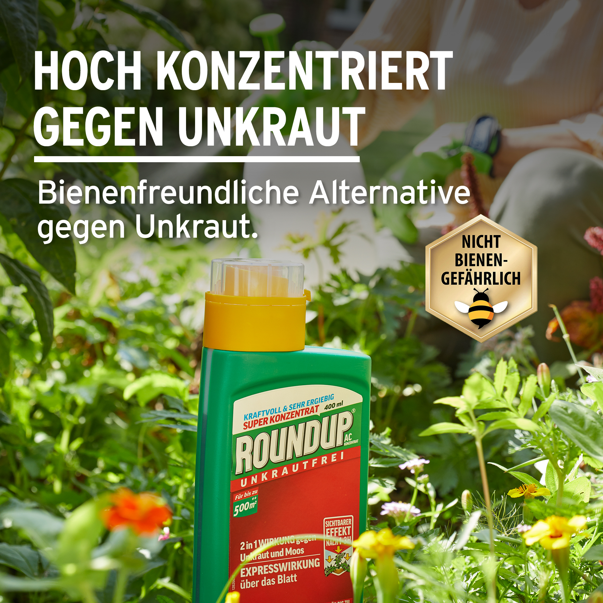 ROUNDUP Express Konzentrat, 250 ml | Oleandershop