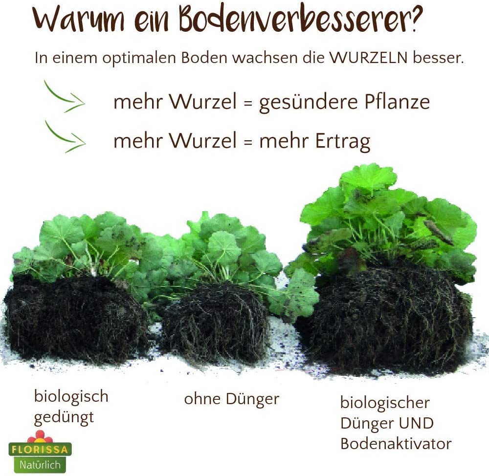FLORISSA Bodenaktivator, 10 kg | Oleandershop