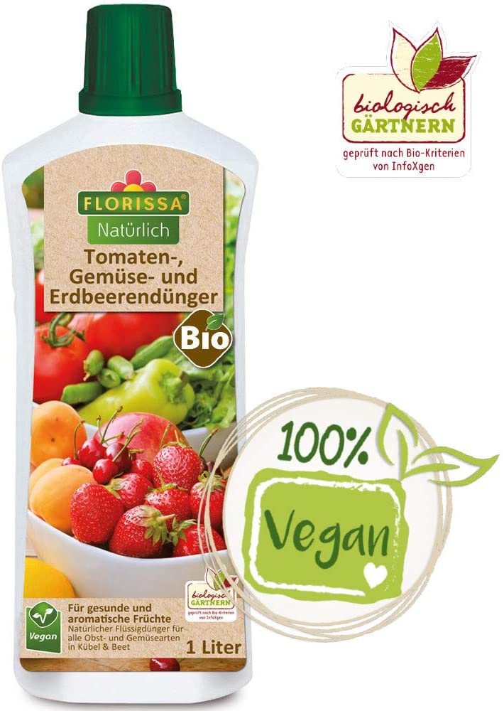aloe vera samen Seedeo® Aloe vera ( Aloe vera syn. Aloe barbadensis) 15 Samen main image 0