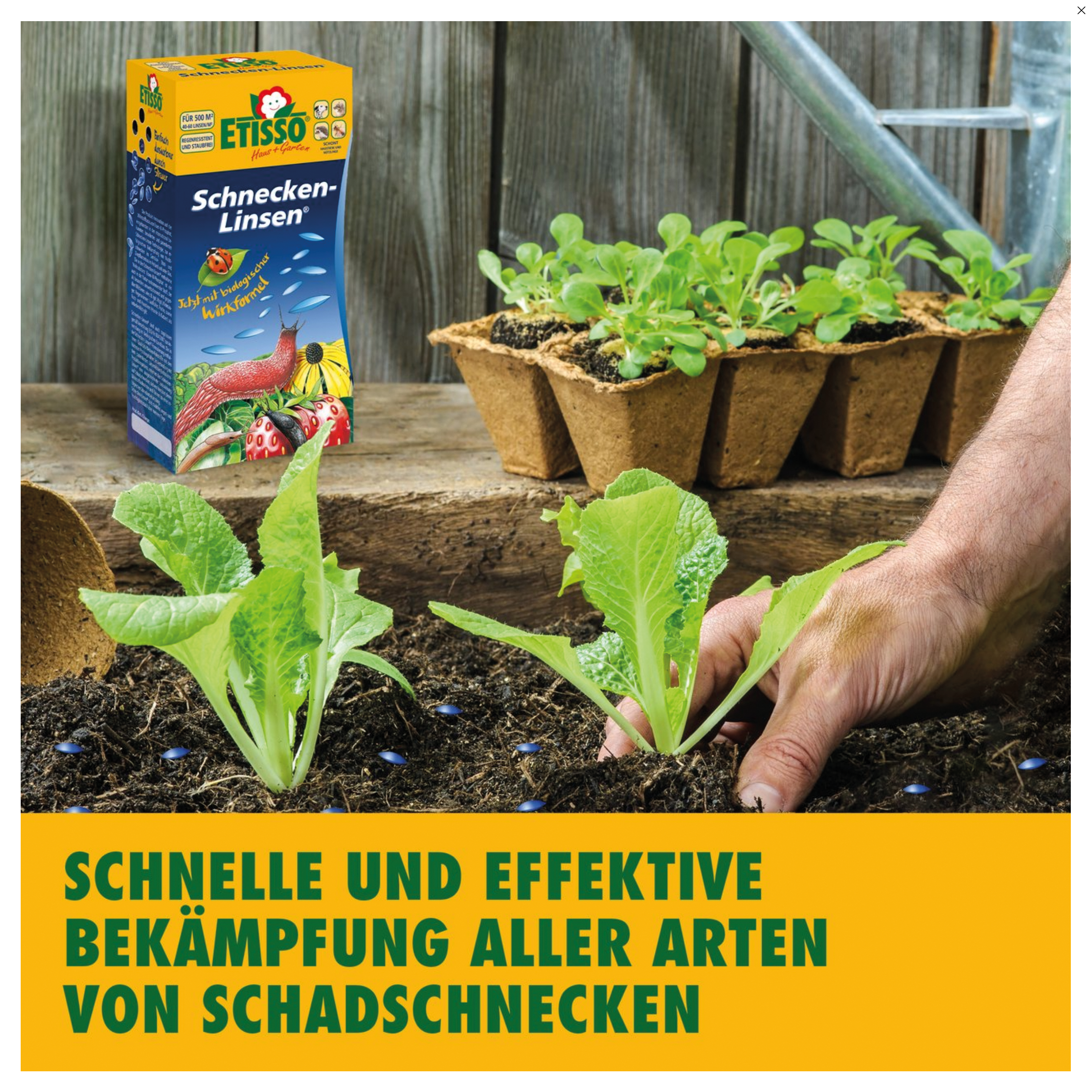 rhododendron dnger heidelbeere Rhododendron Dnger flssig 500ml - 10 L
