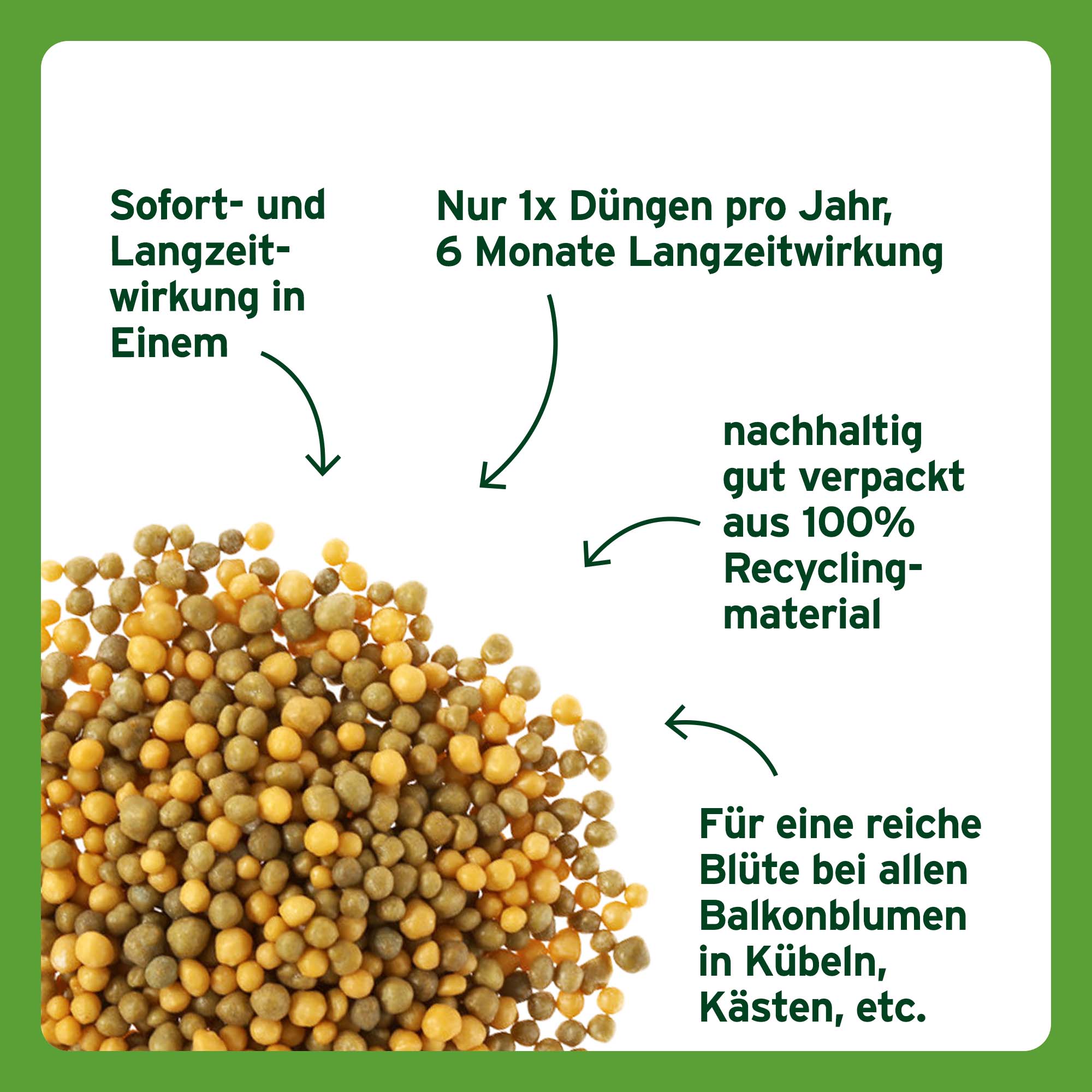 SUBSTRAL Langzeit Depotdnger fr Balkonblumen, 750 g | Oleandershop