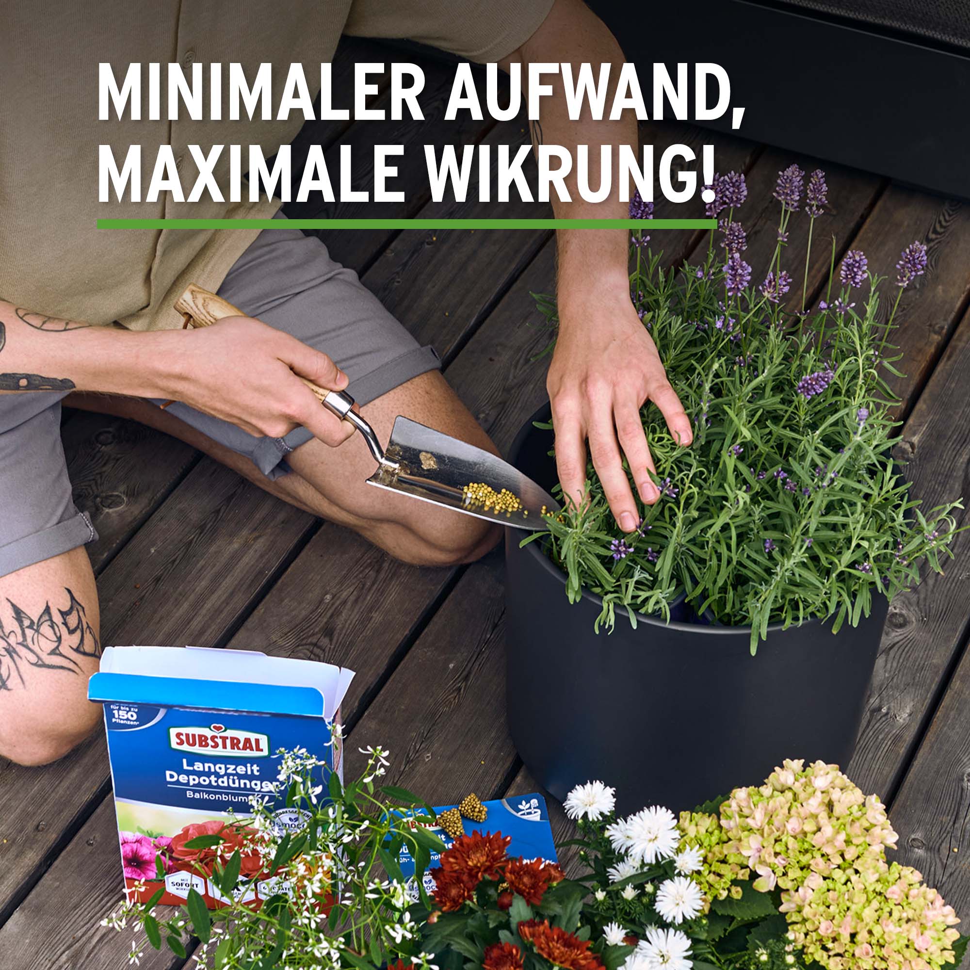 SUBSTRAL Langzeit Depotdnger fr Balkonblumen, 750 g | Oleandershop