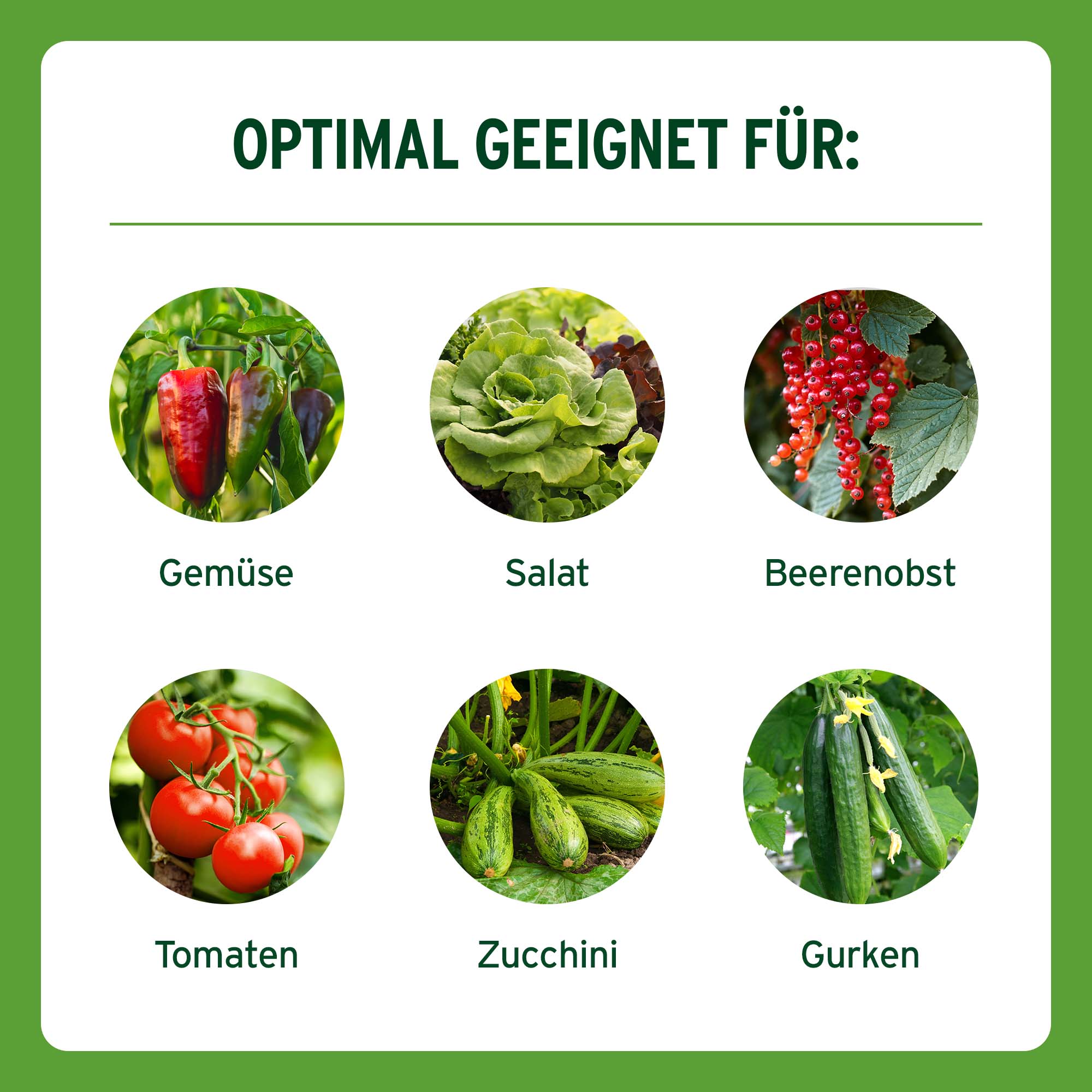 SUBSTRAL Langzeit Depotdnger fr Obst & Gemse, 750 g | Oleandershop
