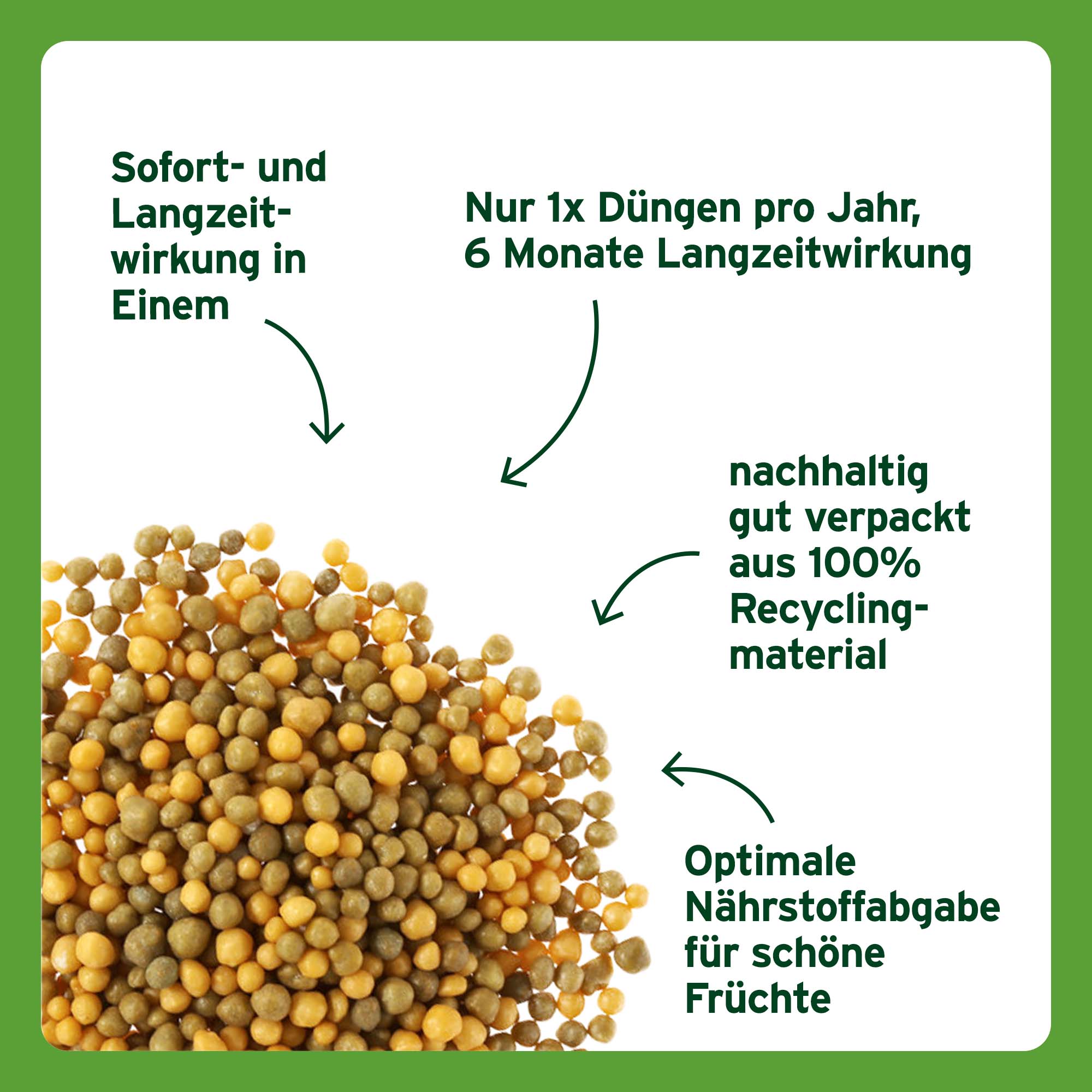 SUBSTRAL Langzeit Depotdnger fr Zitrus & Mediterrane Pflanzen, 750 g |  Oleandershop