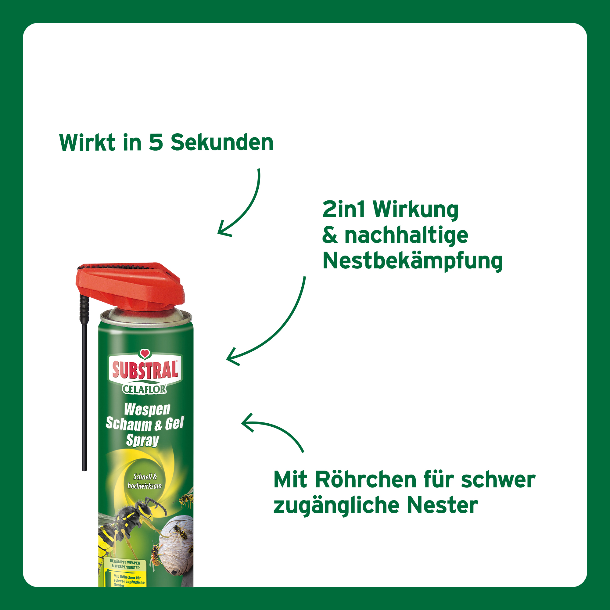 SUBSTRAL Celaflor Wespen Schaum & Gel, 400 ml | Oleandershop